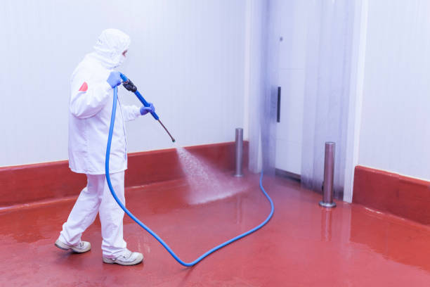 Best Spring Cleaning  in Farmingville, NY